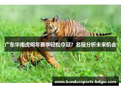 广东华南虎明年赛季轻松夺冠？名宿分析未来机会